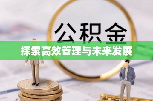 新抚探索高效管理与未来发展