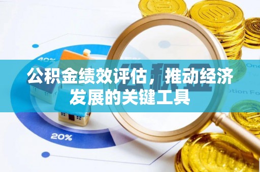 新抚公积金绩效评估，推动经济发展的关键工具