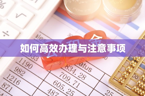 新抚如何高效办理与注意事项