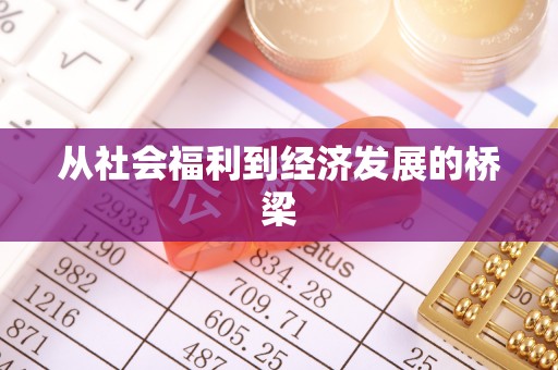 新抚从社会福利到经济发展的桥梁