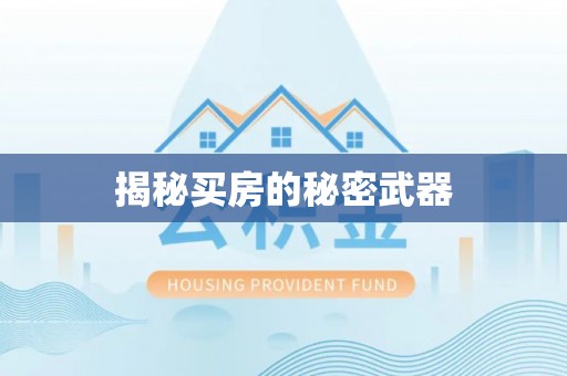 新抚揭秘买房的秘密武器