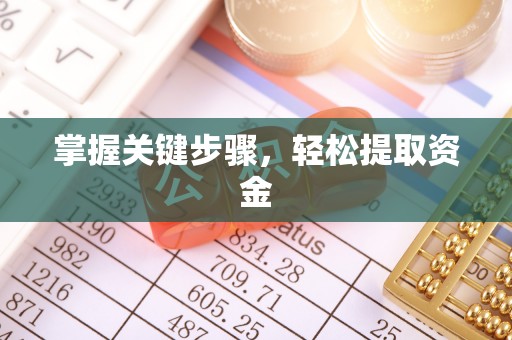 新抚掌握关键步骤，轻松提取资金