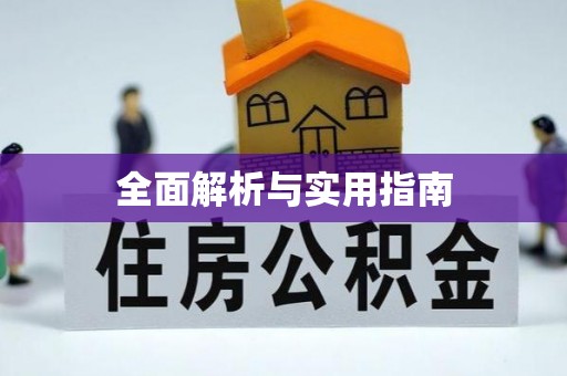 新抚全面解析与实用指南