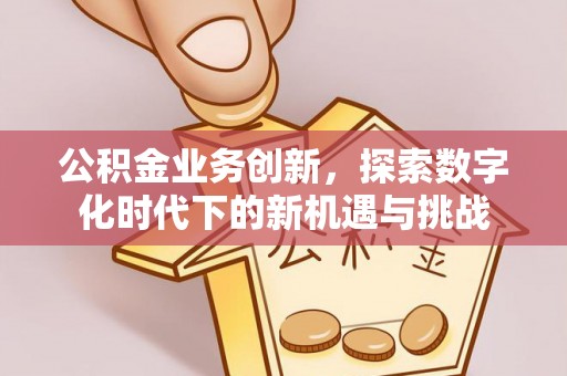 新抚公积金业务创新，探索数字化时代下的新机遇与挑战