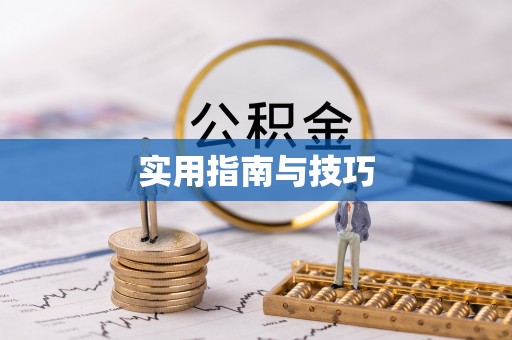 新抚实用指南与技巧