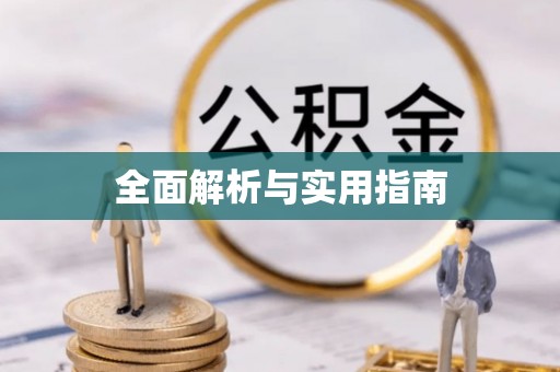 新抚全面解析与实用指南