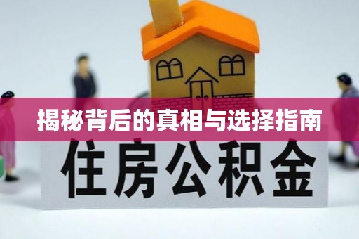 新抚揭秘背后的真相与选择指南