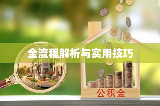 新抚全流程解析与实用技巧