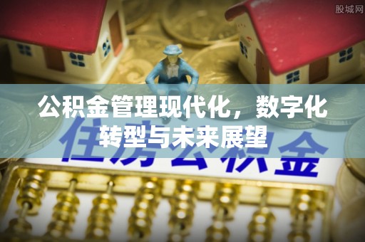 新抚公积金管理现代化，数字化转型与未来展望