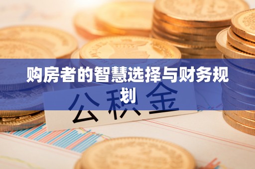 新抚购房者的智慧选择与财务规划