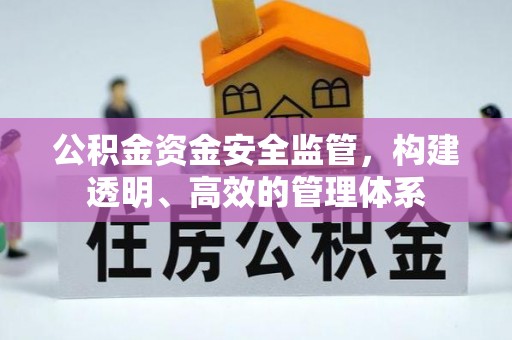 新抚公积金资金安全监管，构建透明、高效的管理体系
