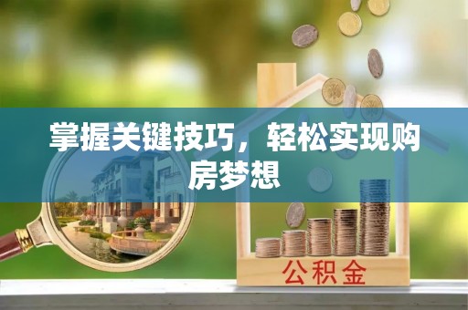 新抚掌握关键技巧，轻松实现购房梦想