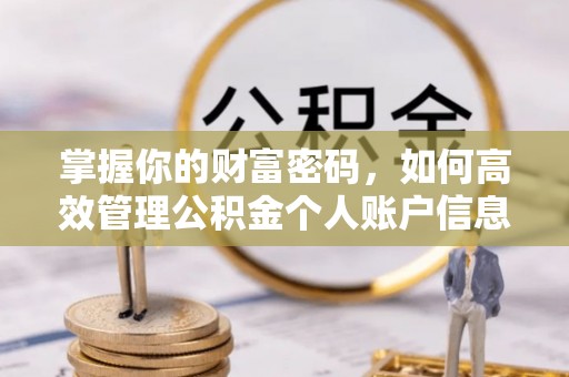 新抚掌握你的财富密码，如何高效管理公积金个人账户信息