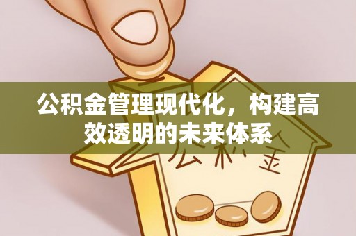 新抚公积金管理现代化，构建高效透明的未来体系