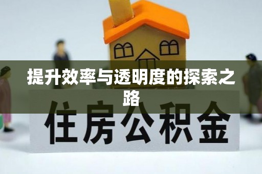 新抚提升效率与透明度的探索之路
