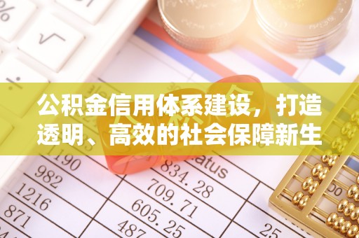 新抚公积金信用体系建设，打造透明、高效的社会保障新生态