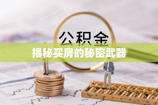 新抚揭秘买房的秘密武器