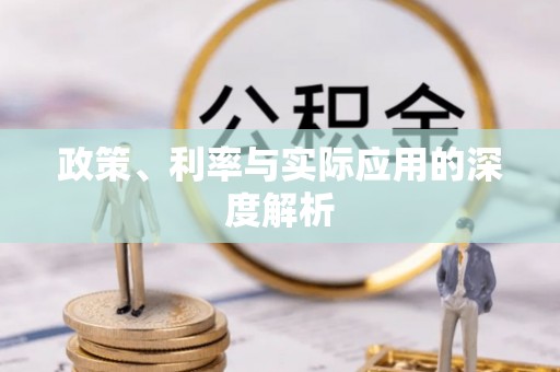 新抚政策、利率与实际应用的深度解析