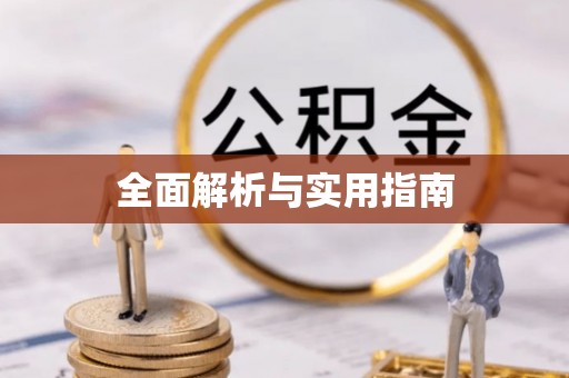新抚全面解析与实用指南
