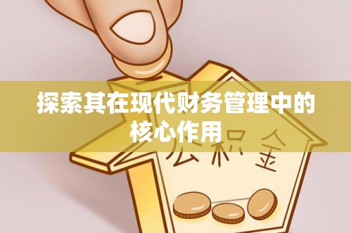 新抚探索其在现代财务管理中的核心作用