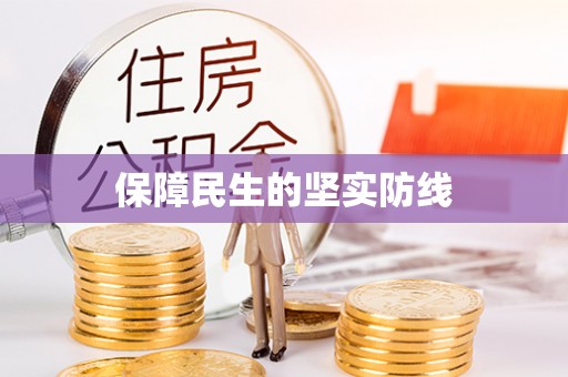 新抚保障民生的坚实防线
