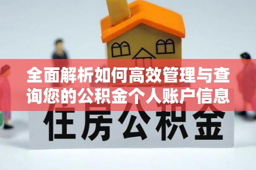 新抚全面解析如何高效管理与查询您的公积金个人账户信息