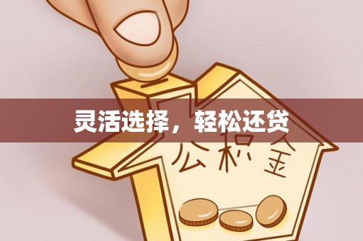 新抚灵活选择，轻松还贷