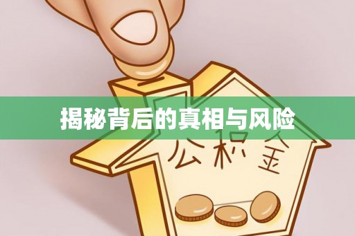 新抚揭秘背后的真相与风险
