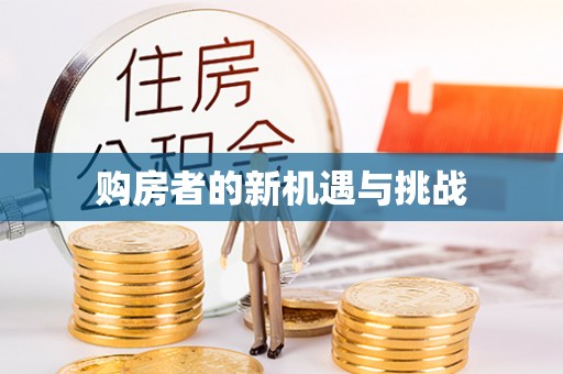 新抚购房者的新机遇与挑战