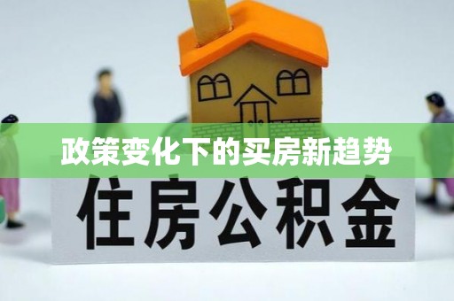 新抚政策变化下的买房新趋势