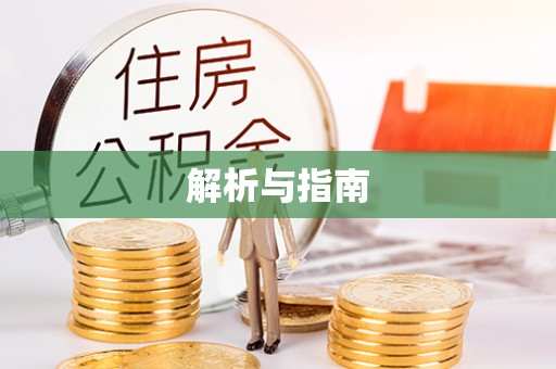 新抚解析与指南