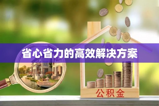 新抚省心省力的高效解决方案