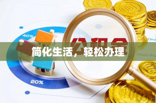 新抚简化生活，轻松办理