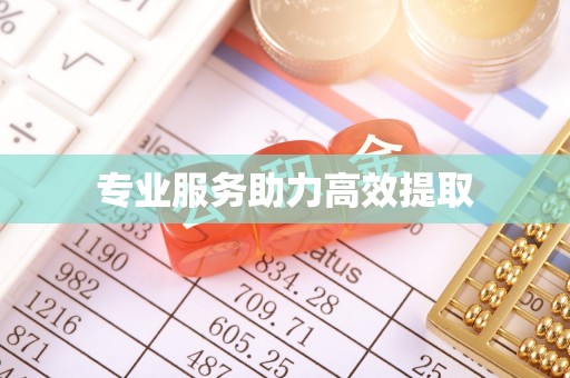 新抚专业服务助力高效提取