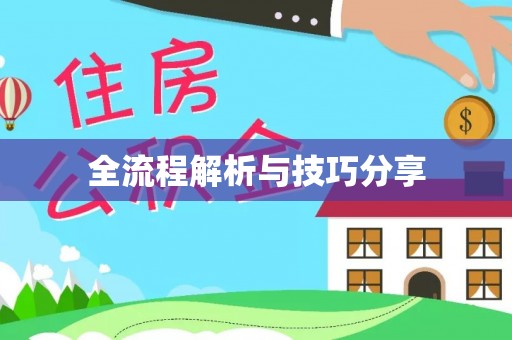 新抚全流程解析与技巧分享