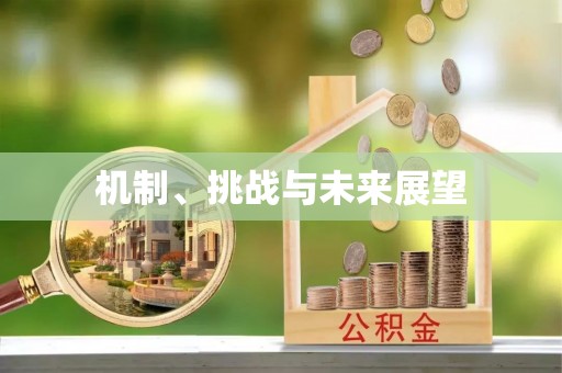 新抚机制、挑战与未来展望
