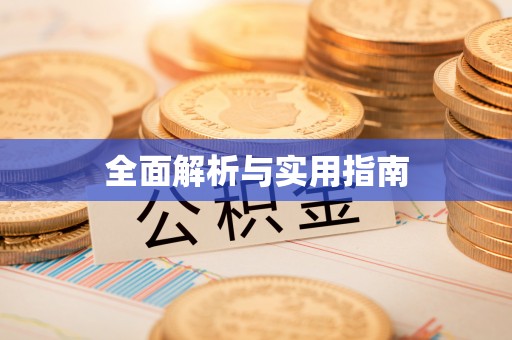 新抚全面解析与实用指南
