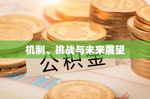新抚机制、挑战与未来展望